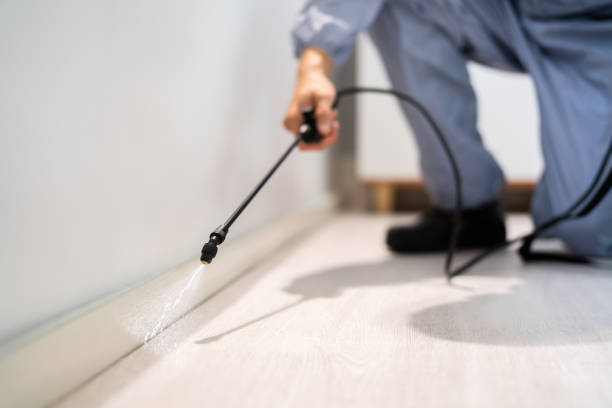Licensed Mosquito Control service in Clio, AL - Show Me Pest Control